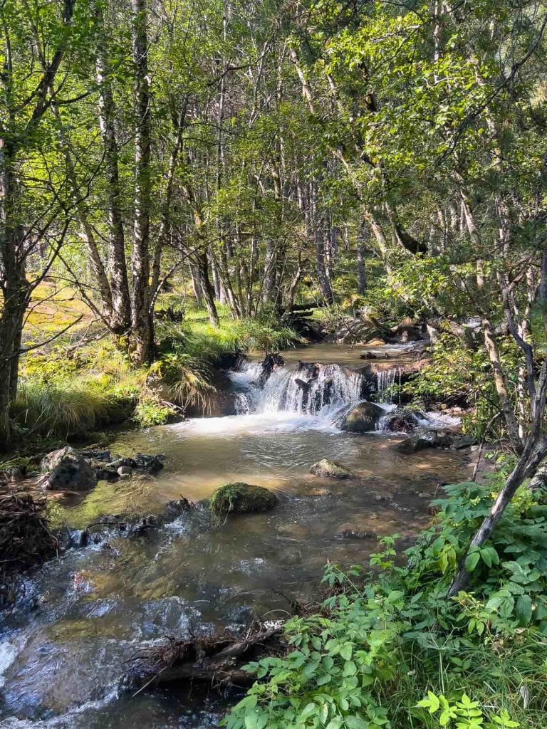 río peguera valle