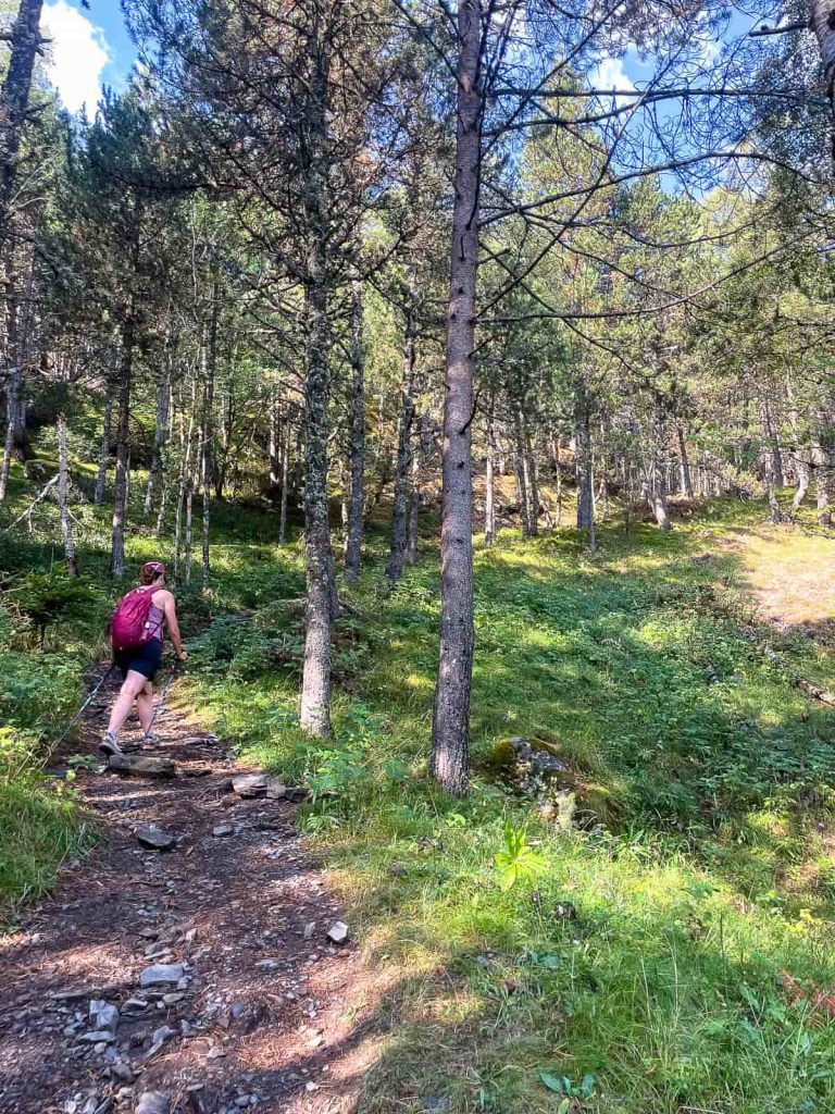 valle de peguera aigüestortes espot